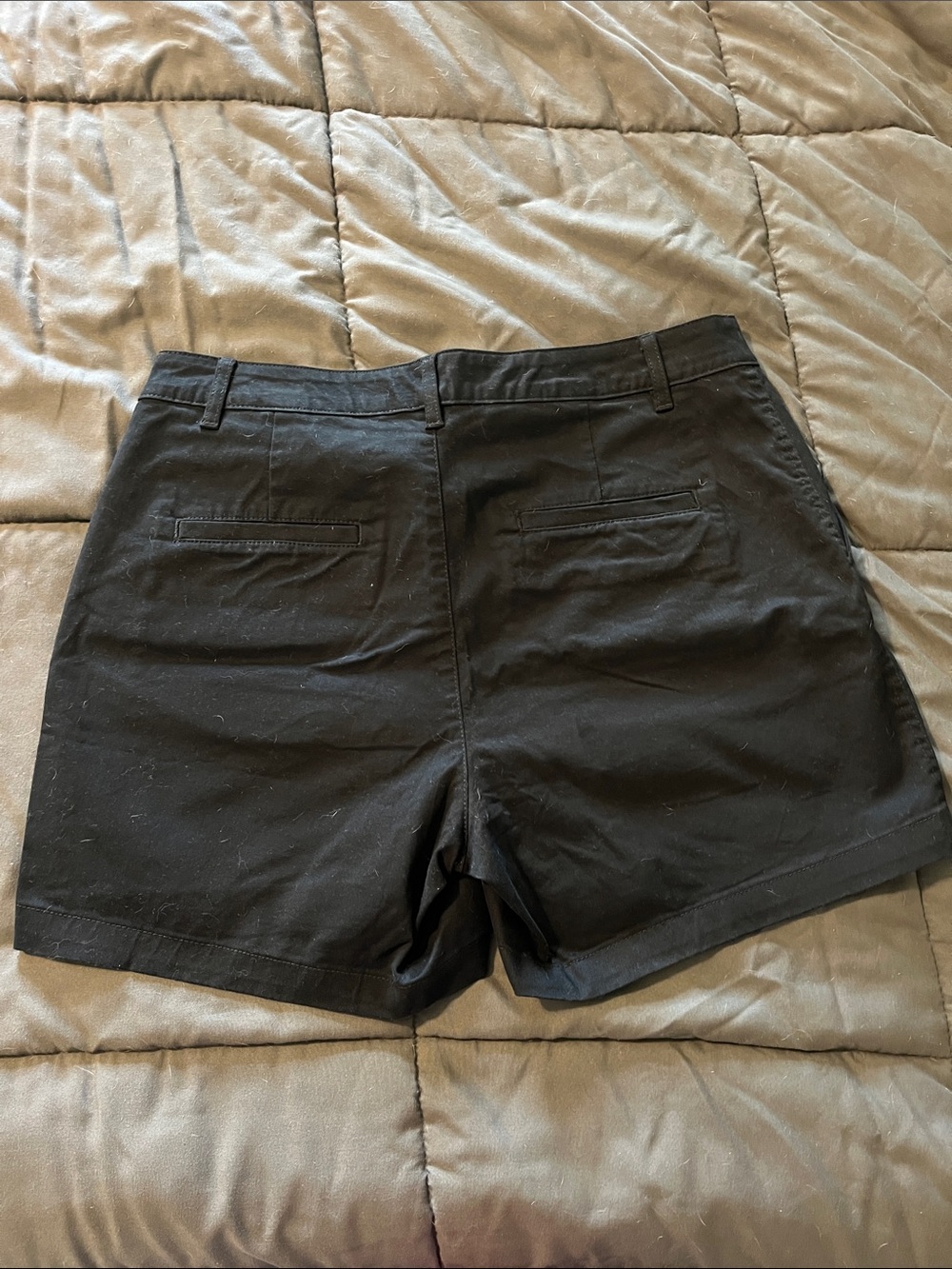 Women’s Shorts size 10 - Picture 3 of 3
